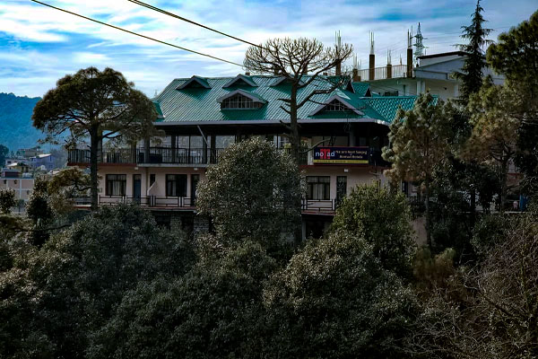Nature Nest, Dalhousie