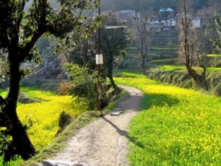 Dharamkot.jpg